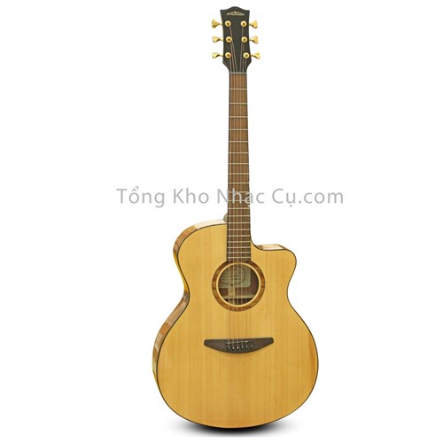 Đàn Guitar Acoustic Everest E100-AC